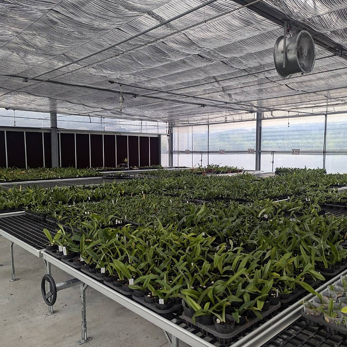 Greenhouse